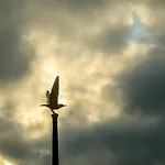 펜션 De Kroft Residences Aan Zee