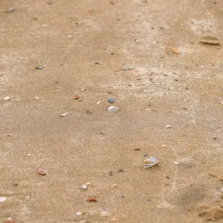 De Kroft Residences Aan Zee Tatil Evi Noordwijk