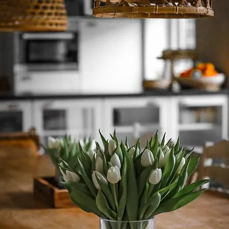 De Kroft Residences Aan Zee * Noordwijk