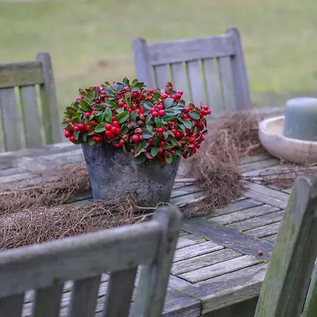 De Kroft Residences Aan Zee * Noordwijk