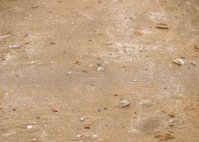 De Kroft Residences Aan Zee Casa vacanze Noordwijk