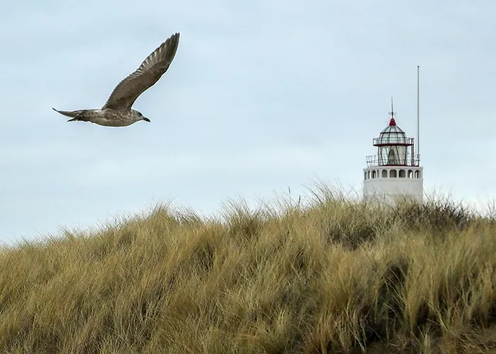 De Kroft Residences Aan Zee * Noordwijk