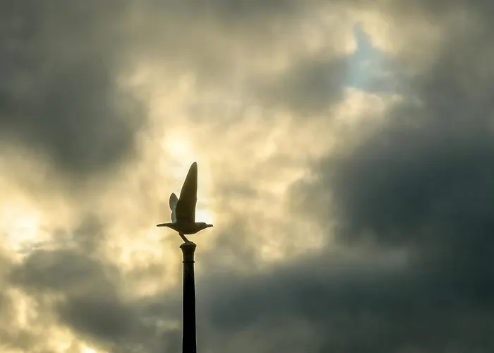 Ferienhaus De Kroft Residences Aan Zee