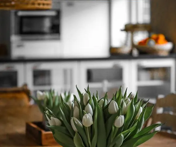 De Kroft Residences Aan Zee * Noordwijk