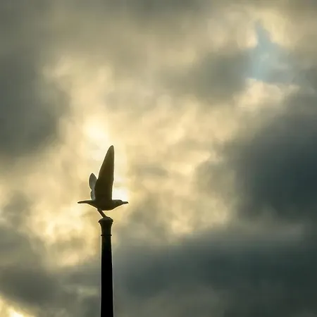 Casa vacanze De Kroft Residences Aan Zee